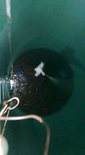 WhatsApp Image 2023-09-06 at 08.42.51 (1).jpeg