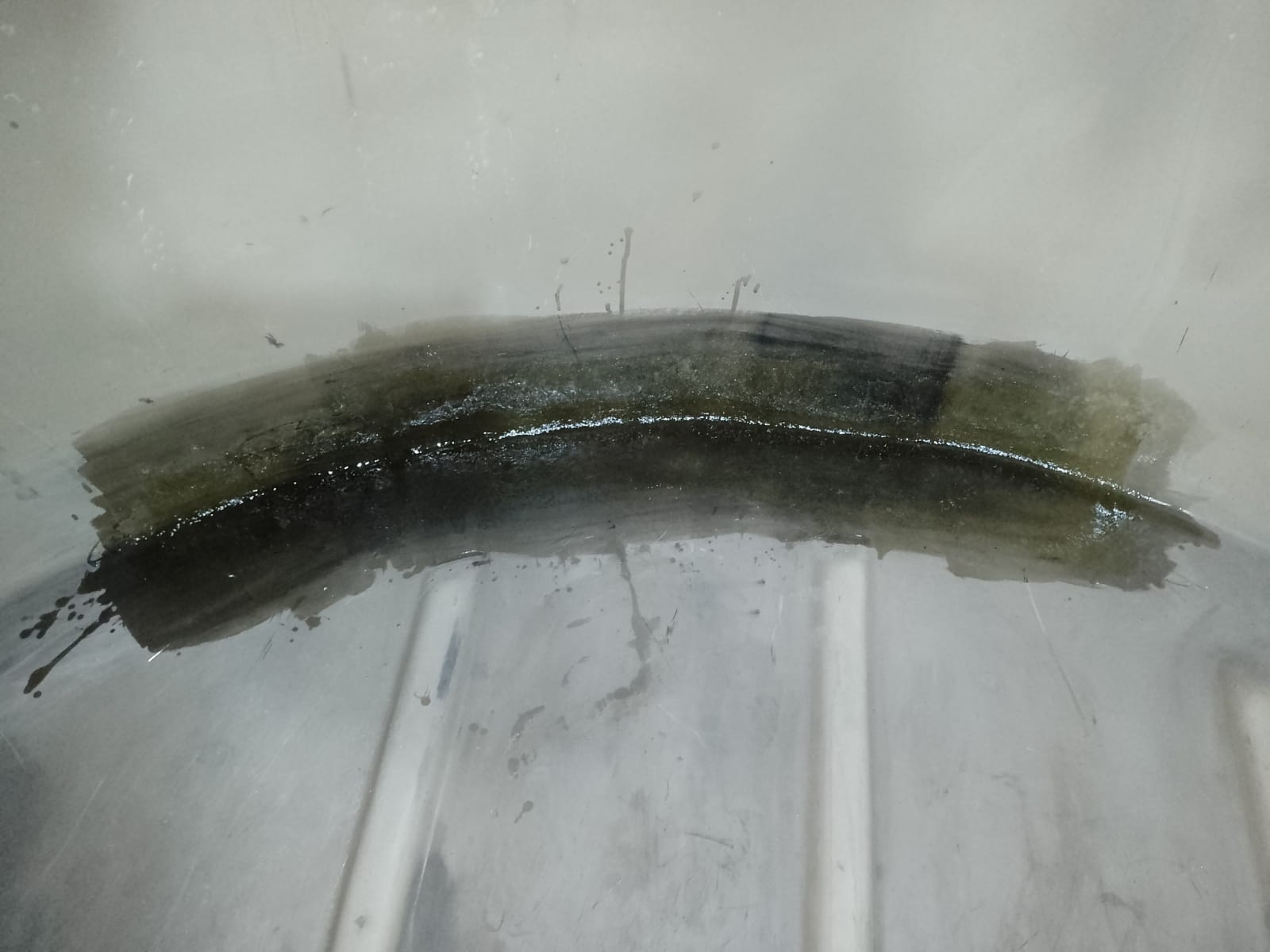 WhatsApp Image 2022-10-20 at 12.33.53 (1).jpeg