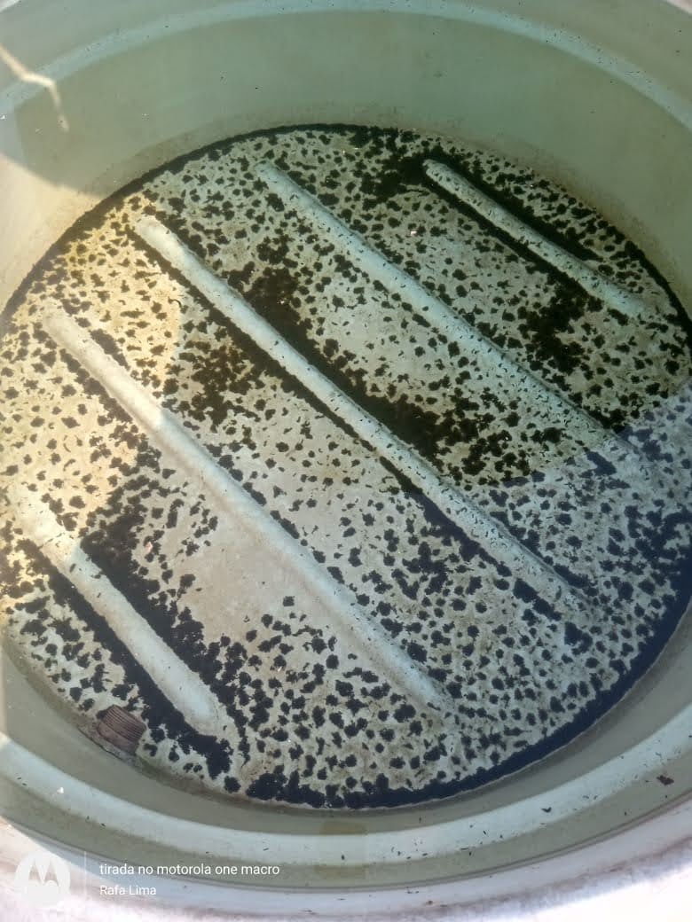 WhatsApp Image 2023-06-06 at 16.44.55 (2).jpeg