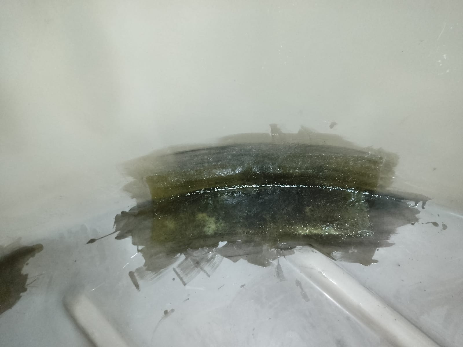 WhatsApp Image 2022-10-20 at 12.33.53 (2).jpeg