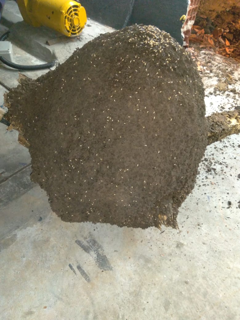 WhatsApp Image 2022-02-22 at 15.21.29.jpeg