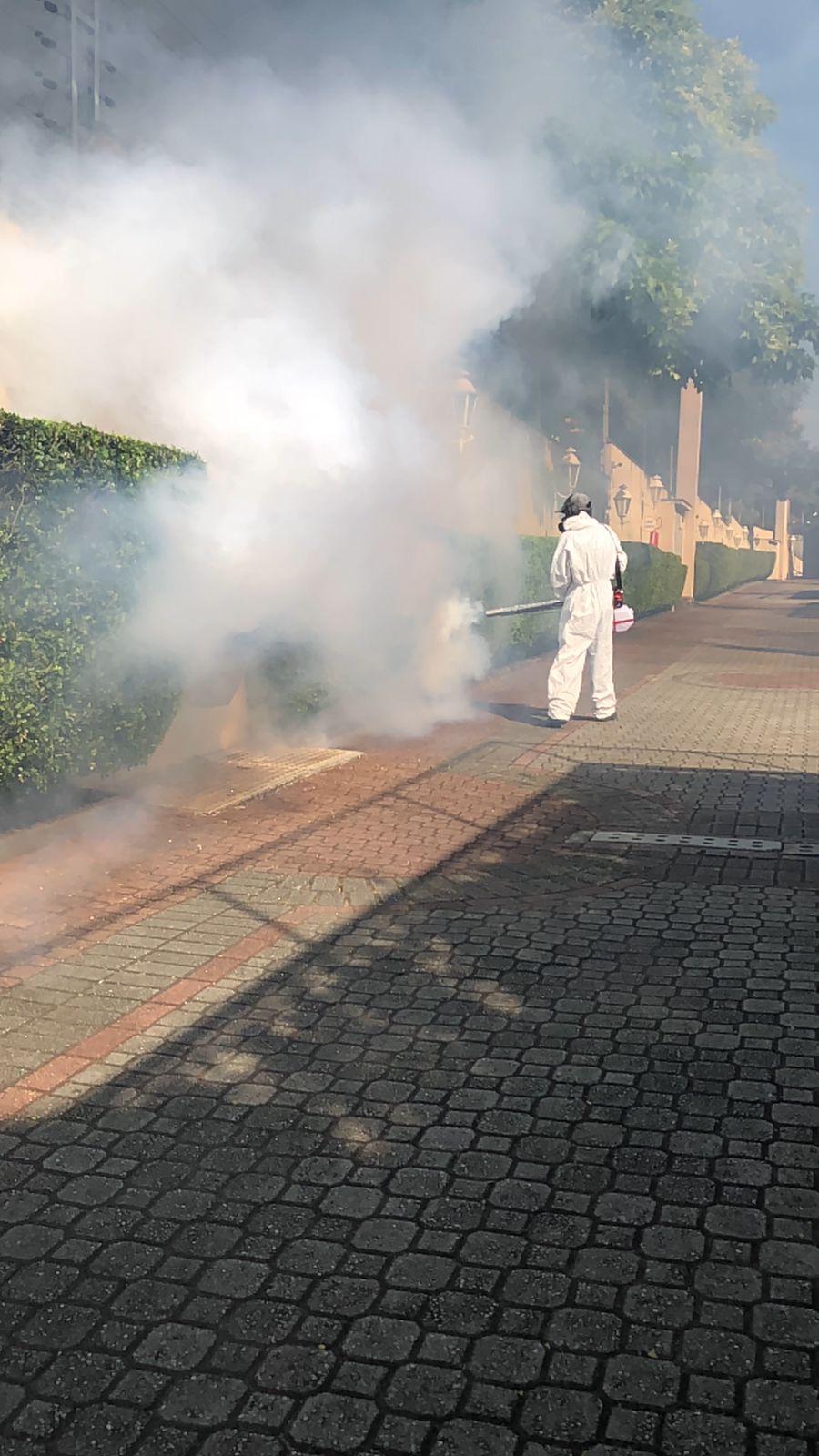 WhatsApp Image 2023-04-24 at 09.52.15 (1).jpeg