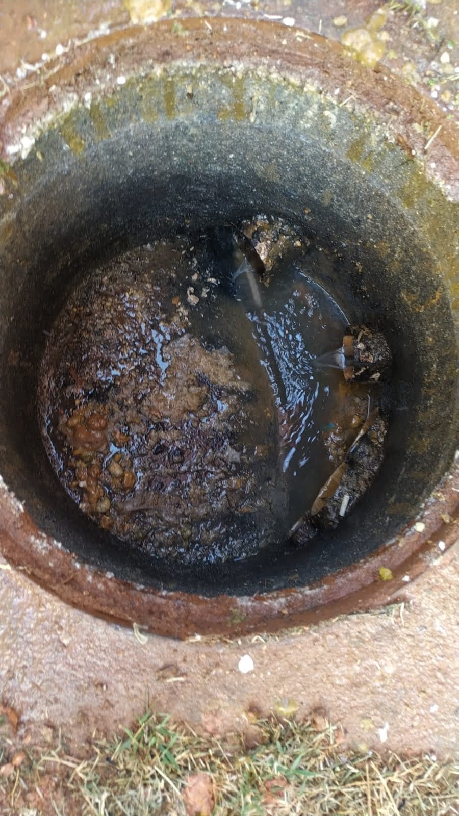 WhatsApp Image 2023-06-06 at 16.44.52.jpeg