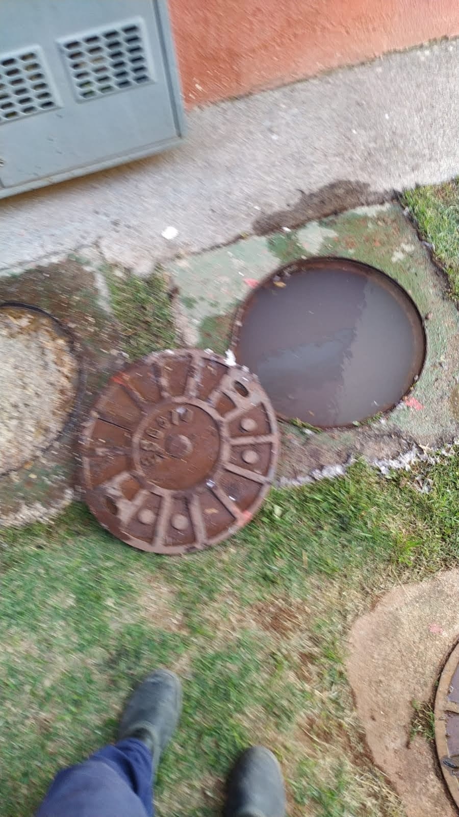 WhatsApp Image 2023-06-06 at 16.44.52 (1).jpeg