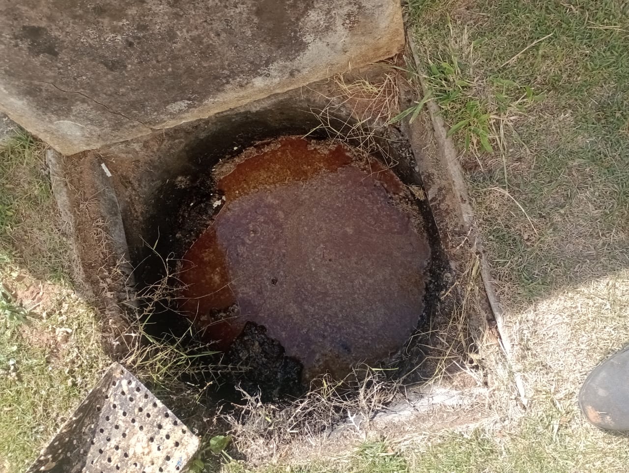 Imagem do WhatsApp de 2023-07-25 à(s) 12.03.04.jpg