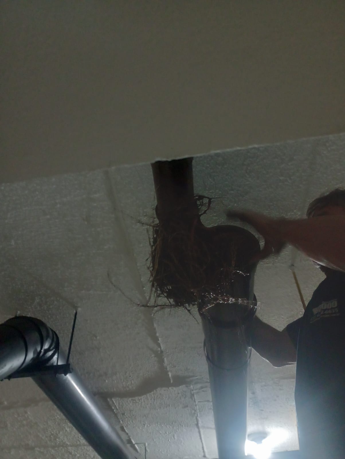 Imagem do WhatsApp 14.34.41.jpg