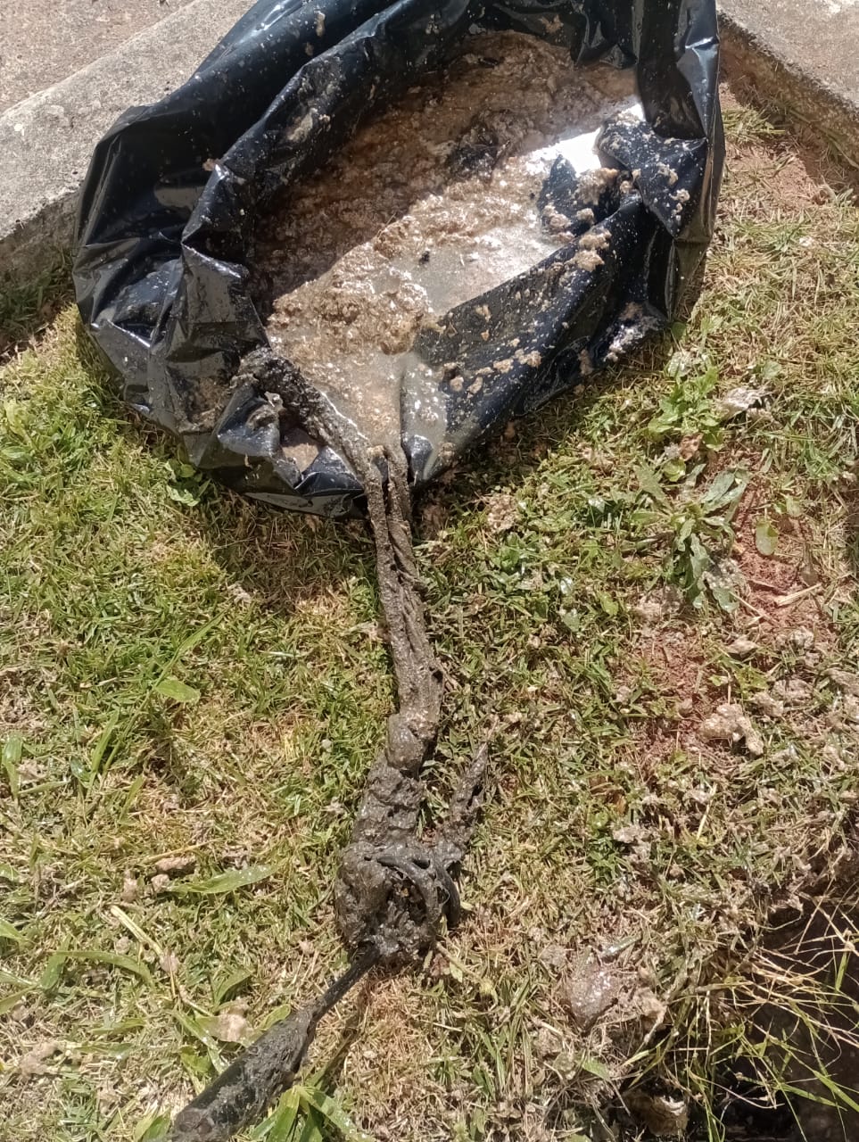 Imagem do WhatsApp de 2023-07-25 à(s) 12.03.06.jpg