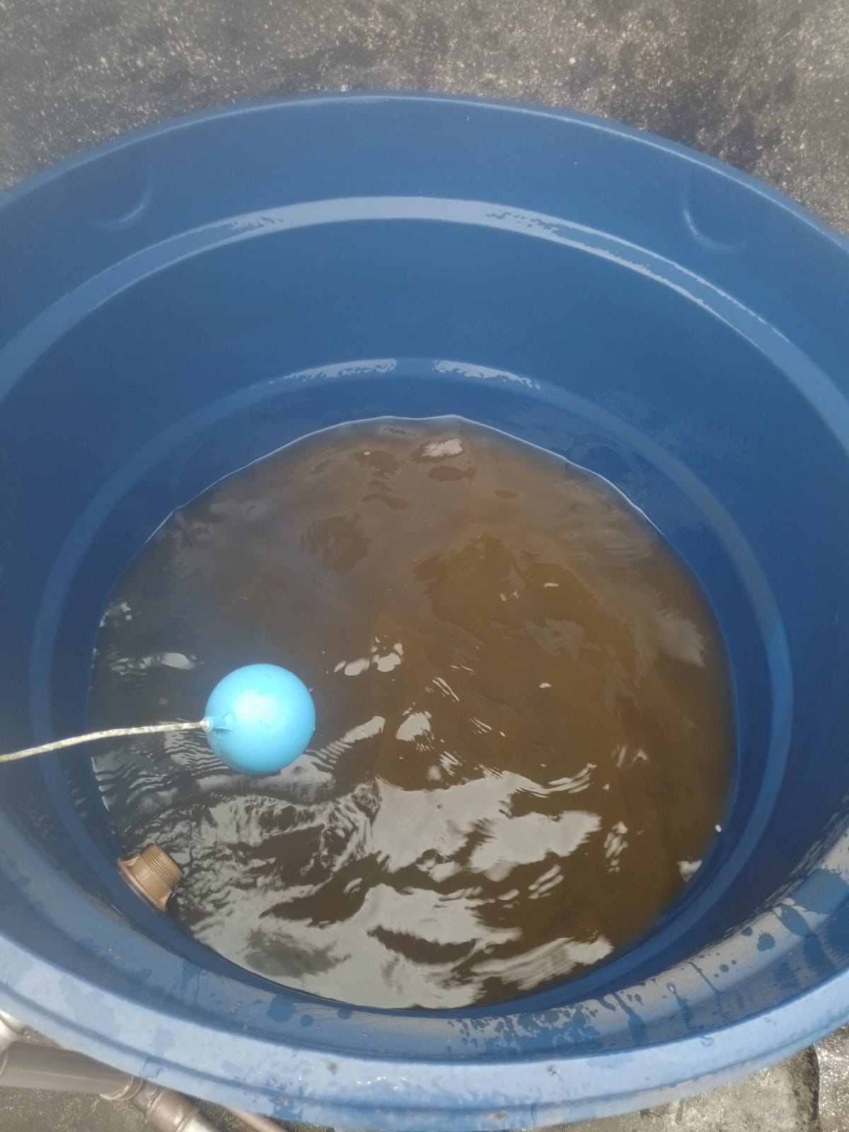 Imagem do WhatsApp de 2023-07-19 à(s) 18.24.56.jpg